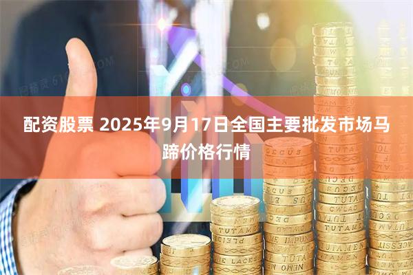 配资股票 2025年9月17日全国主要批发市场马蹄价格行情