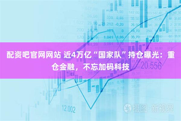 配资吧官网网站 近4万亿“国家队”持仓曝光：重仓金融，不忘加码科技
